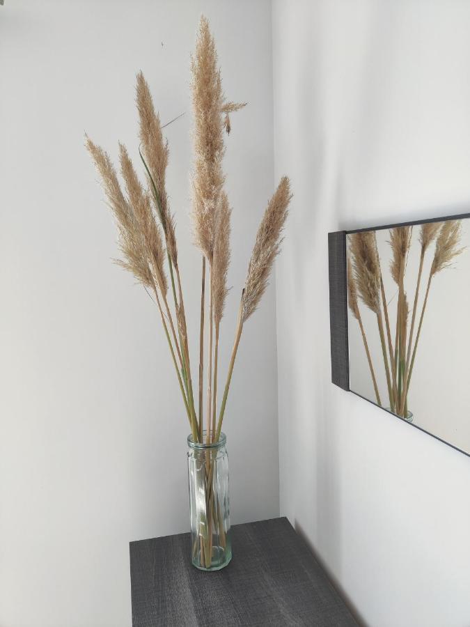 Appartement T3 Plume Hyper Centre D'Ernée 외부 사진